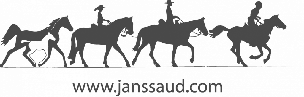 Logo janssaud